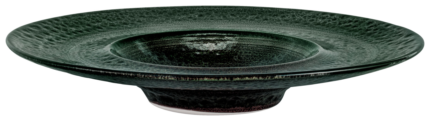 Deep plate Black Reef porcelain, with wide rim